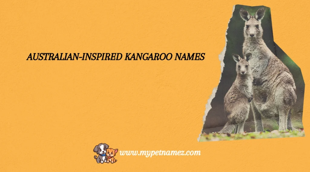 Australian-Inspired Kangaroo Names