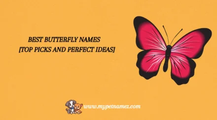 301 Best Butterfly Names [Top Picks and Perfect Ideas]