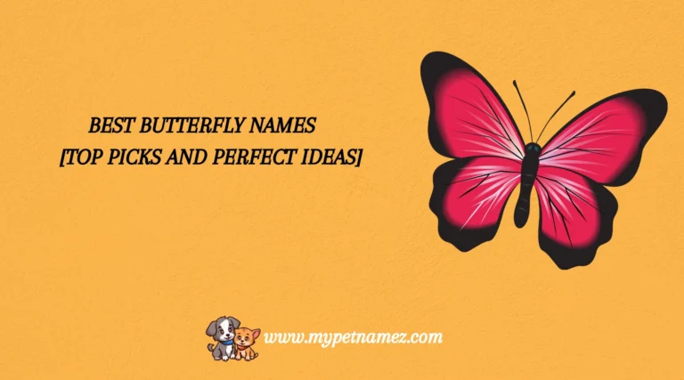 301 Best Butterfly Names [Top Picks and Perfect Ideas]
