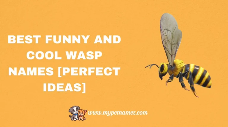 301 Best Funny and Cool Wasp Names [Perfect Ideas]