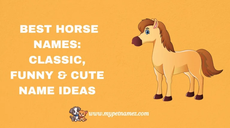 301 Best Horse Names: Classic, Funny & Cute Name Ideas