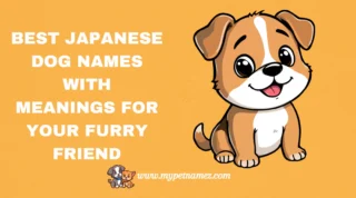 301 Best Japanese Dog Names with Meanings for Your Furry Friend