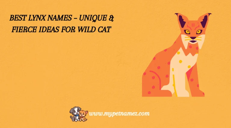 301 Best Lynx Names – Unique & Fierce Ideas for Wild Cat