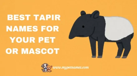 301 Best Tapir Names for Your Pet or Mascot