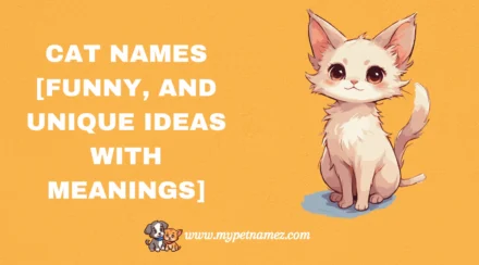 301 Cat Names [Funny, and Unique Ideas with Meanings]