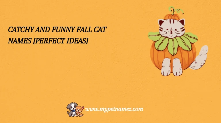 301 Catchy and Funny Fall Cat Names [Perfect Ideas]