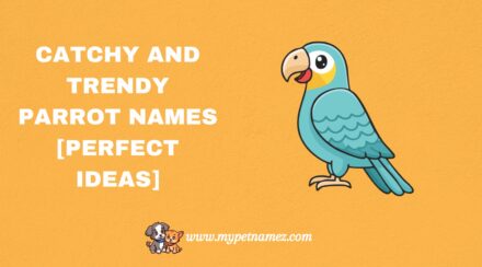 301 Catchy and Trendy Parrot Names [Perfect Ideas]