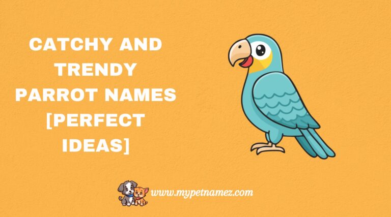301 Catchy and Trendy Parrot Names [Perfect Ideas]