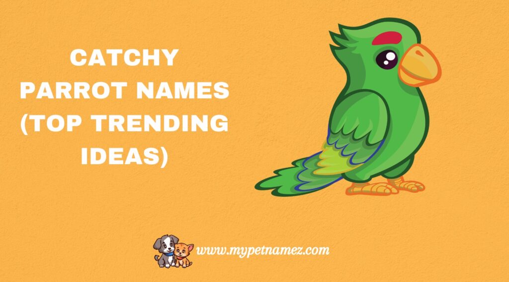 Catchy Parrot Names (Top Trending Ideas)