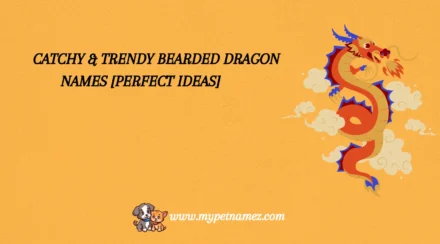 301 Catchy & Trendy Bearded Dragon Names [Perfect Ideas]