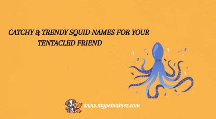 301 Catchy & Trendy Squid Names for Your Tentacled Friend