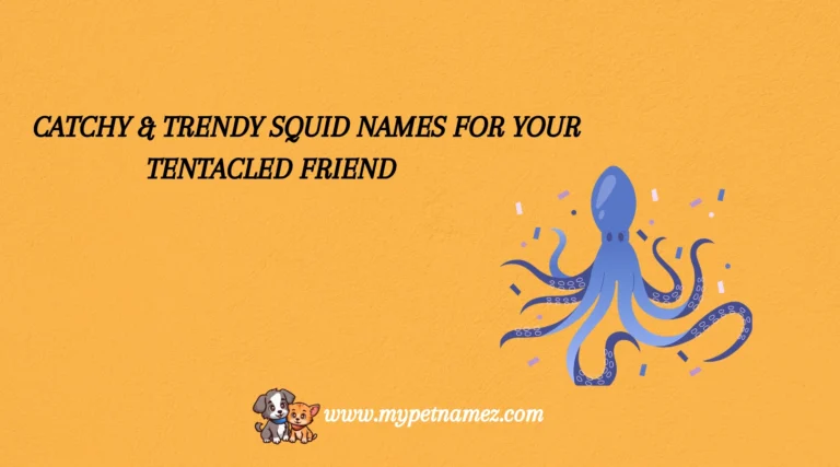 301 Catchy & Trendy Squid Names for Your Tentacled Friend