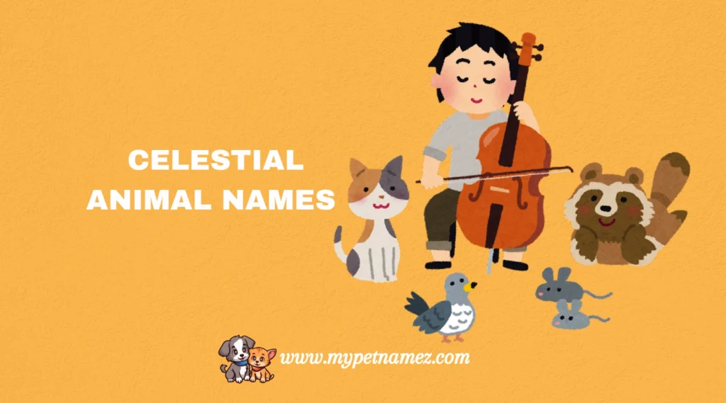 Celestial Animal Names