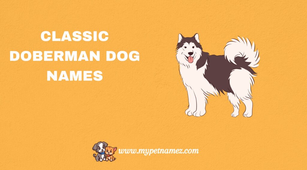 Classic Doberman Dog Names
