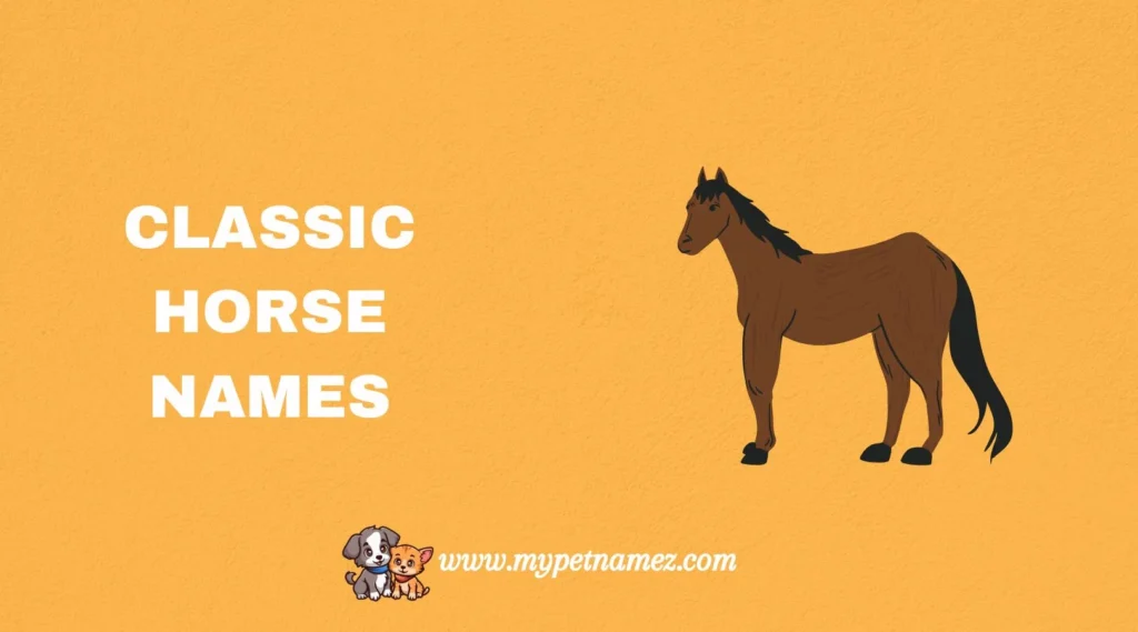Classic Horse Names