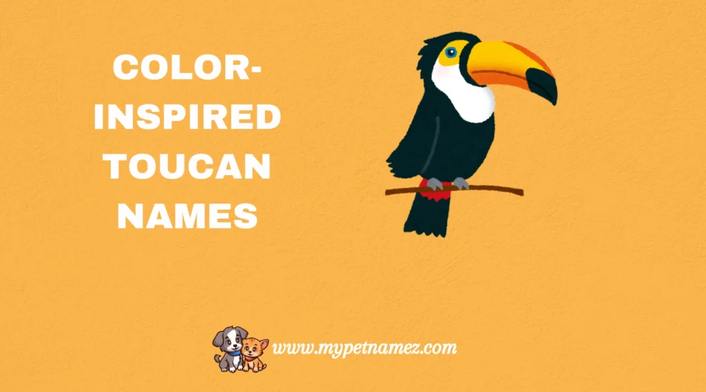 Color-Inspired Toucan Names