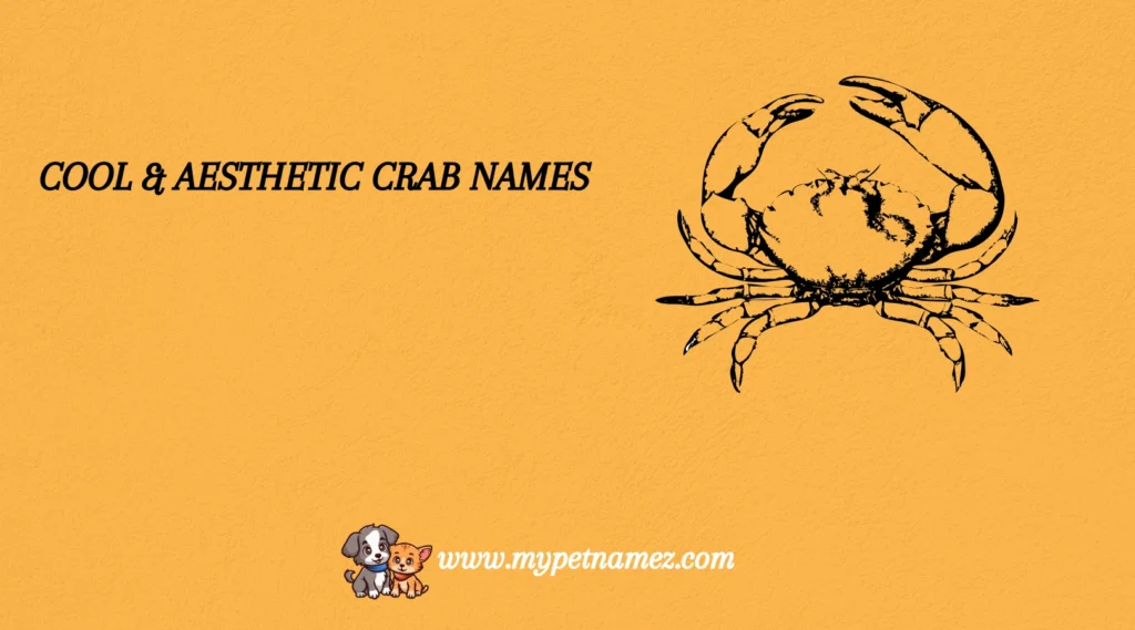 Cool & Aesthetic Crab Names