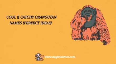 301 Cool & Catchy Orangutan Names [Perfect Ideas]