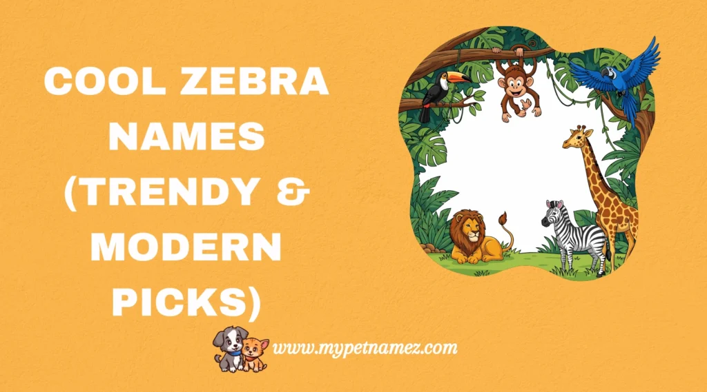 Cool Zebra Names (Trendy & Modern Picks)
