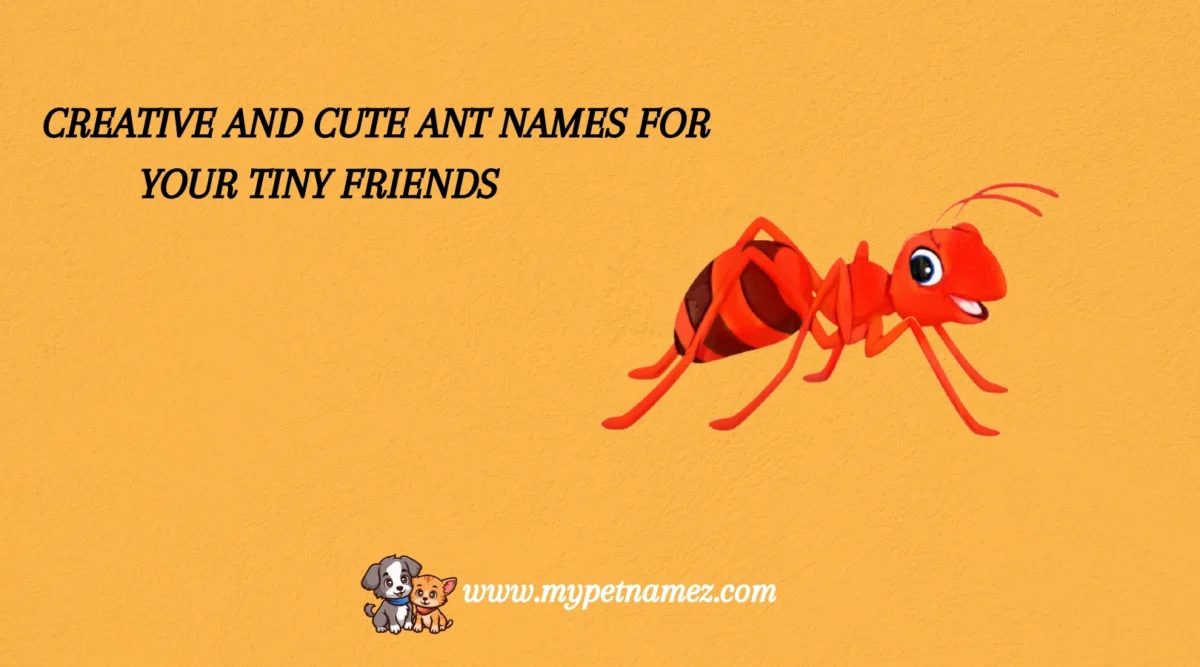301 Creative and Cute Ant Names for Your Tiny Friends