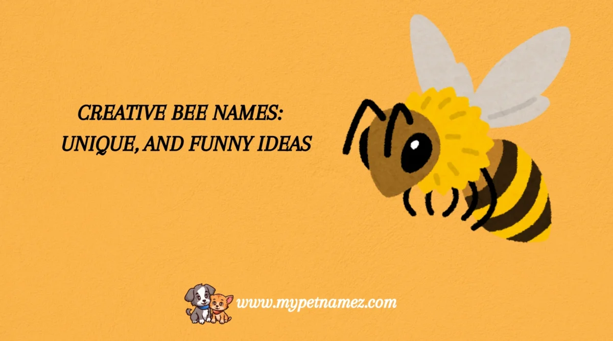 301 Creative Bee Names: Unique, and Funny Ideas