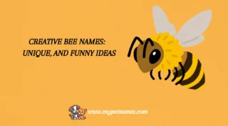 301 Creative Bee Names: Unique, and Funny Ideas