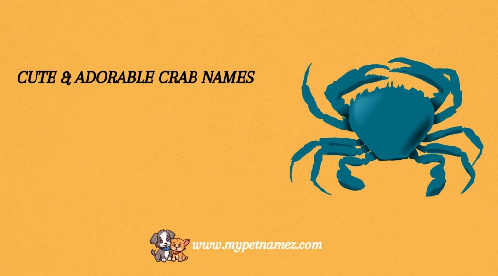 Cute & Adorable Crab Names