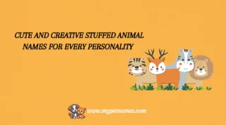 301 Cute and Creative Stuffed Animal Names for Every Personality