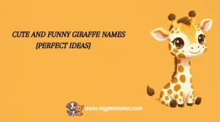 301 Cute and Funny Giraffe Names [Perfect Ideas]