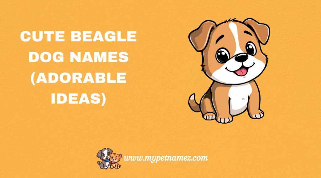 Cute Beagle Dog Names (Adorable Ideas)
