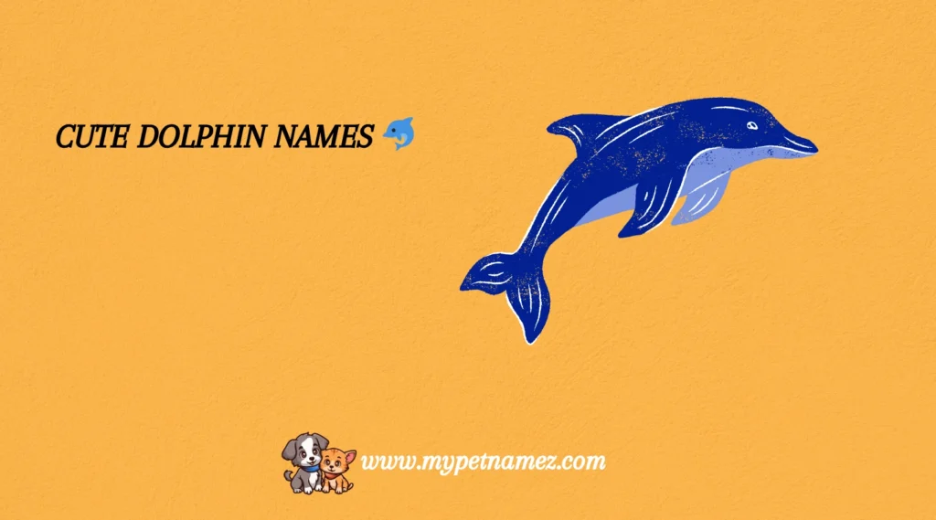 Cute Dolphin Names 🐬