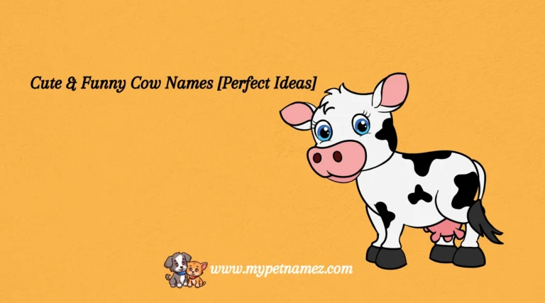 301 Cute & Funny Cow Names [Perfect Ideas]