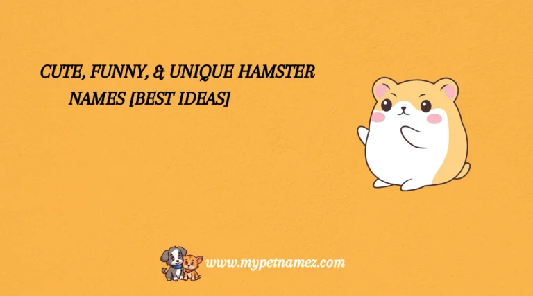 301 Cute, Funny, & Unique Hamster Names [Best Ideas]