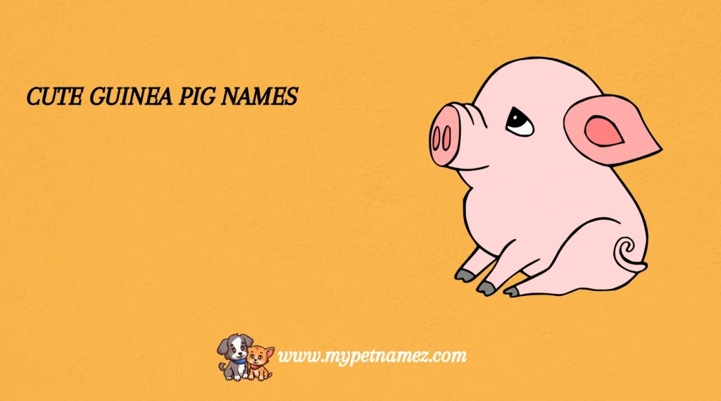 Cute Guinea Pig Names