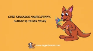 301 Cute Kangaroo Names [Funny, Famous & Unisex Ideas]