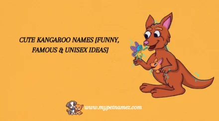 301 Cute Kangaroo Names [Funny, Famous & Unisex Ideas]