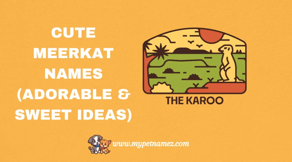 Cute Meerkat Names (Adorable & Sweet Ideas)