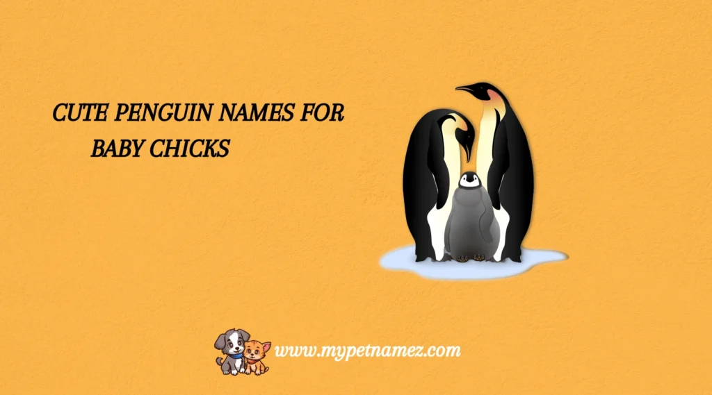 Cute Penguin Names for Baby Chicks