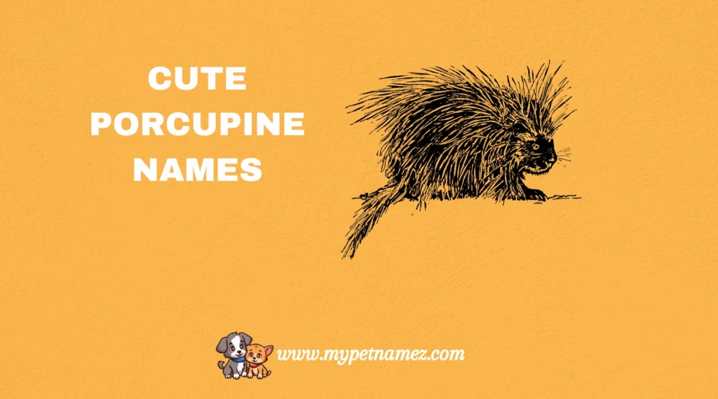 Cute Porcupine Names