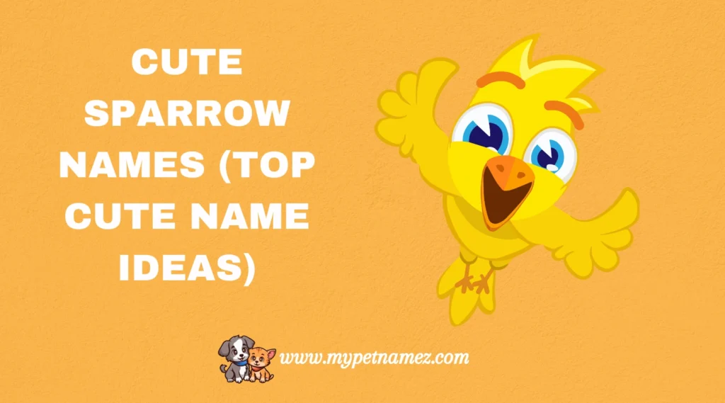 Cute Sparrow Names (Top Cute Name Ideas)