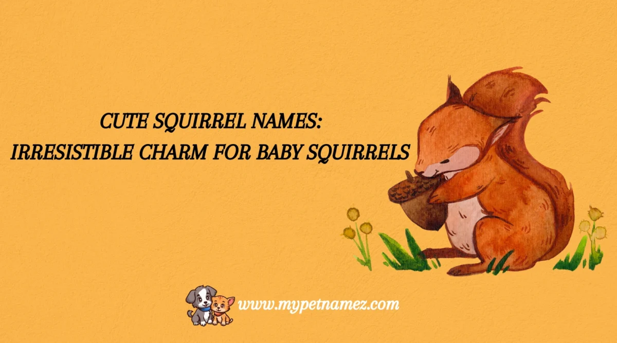 301 Top Squirrel Names: Unique and Adorable Choices for Your Pet
