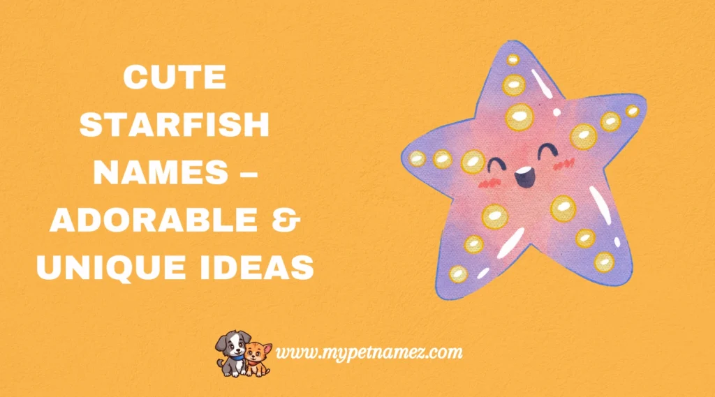 Cute Starfish Names – Adorable & Unique Ideas