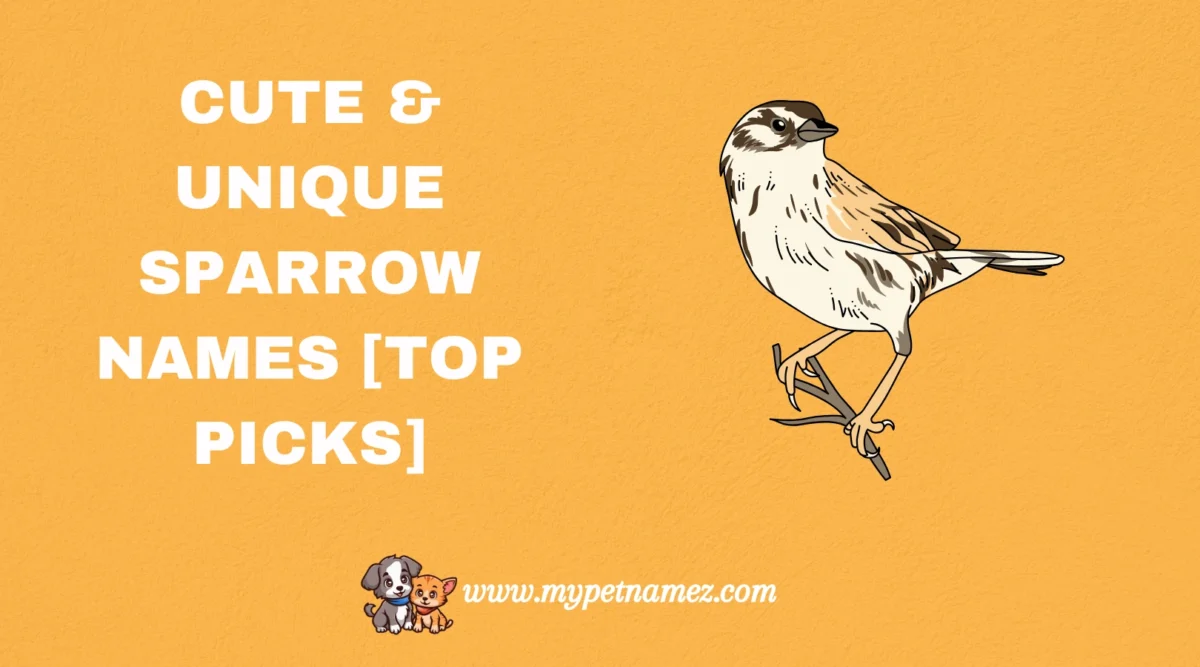 301 Cute & Unique Sparrow Names [Top Picks]
