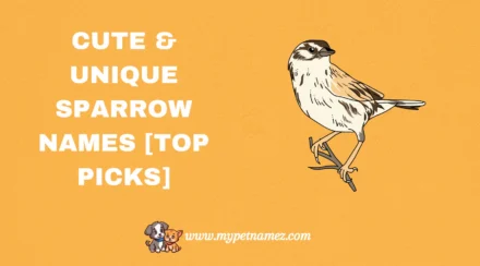 301 Cute & Unique Sparrow Names [Top Picks]