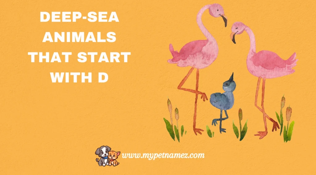Deep-Sea Animals That Start with D