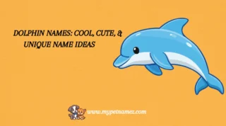301 Dolphin Names: Cool, Cute, & Unique Name Ideas