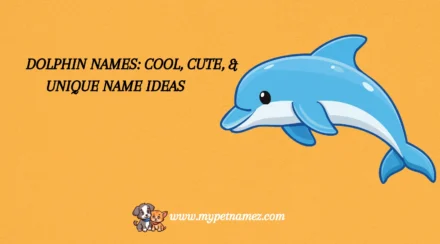 301 Dolphin Names: Cool, Cute, & Unique Name Ideas
