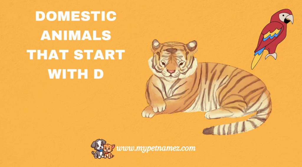 Domestic Animals That Start with D
