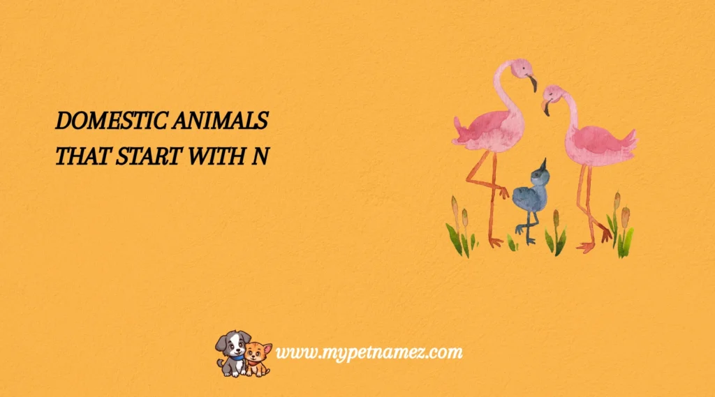 Domestic Animals That Start with N