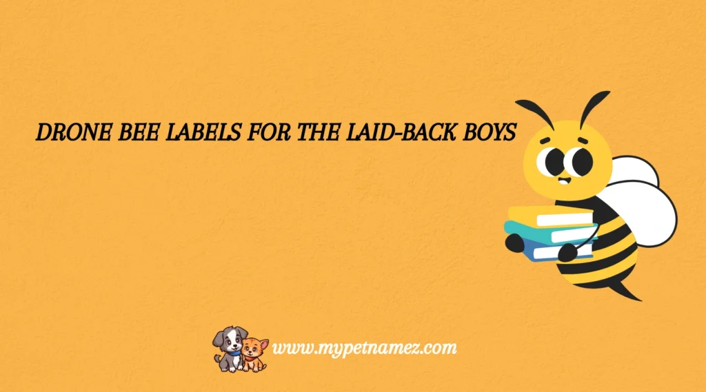Drone Bee Labels for the Laid-Back Boys